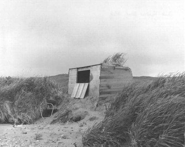 Duck Hunter's Blind, Adak Picture