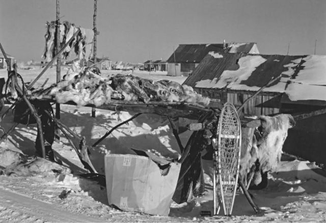Raised Platform with Butchered Caribou or Reindeer Picture