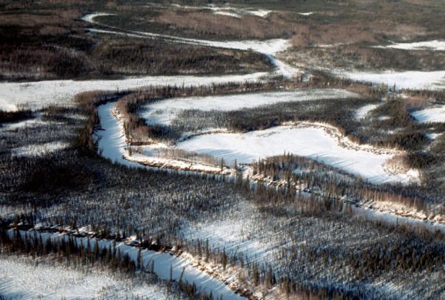 Koyukuk River in Winter Picture