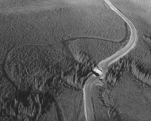 Erickson Creek and TAPS Road Picture
