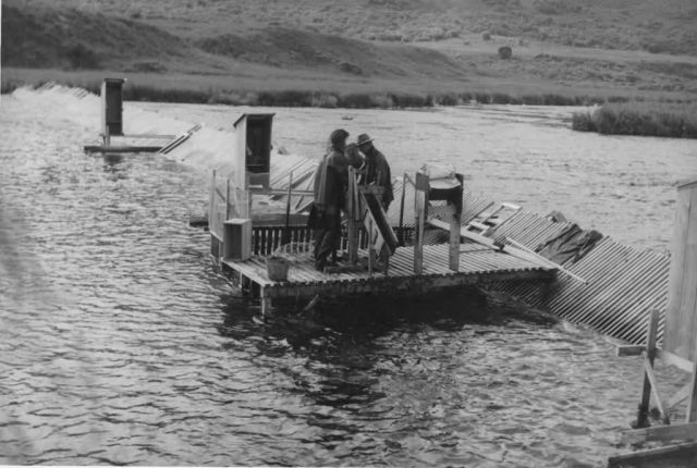 Karluk Weir Picture