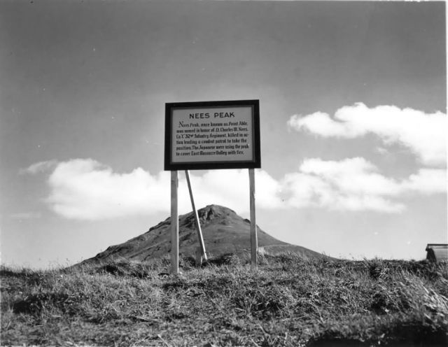 Nees Peak Sign Picture