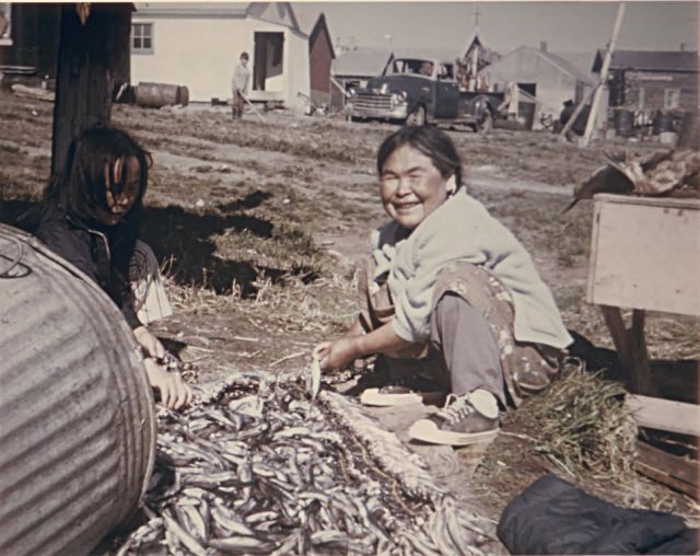 Two Girls Stringing Cheekak Fish in Toksook Bay Picture
