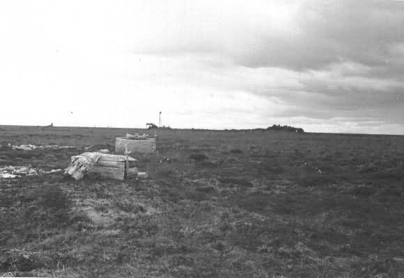 Graves on Tundra Picture