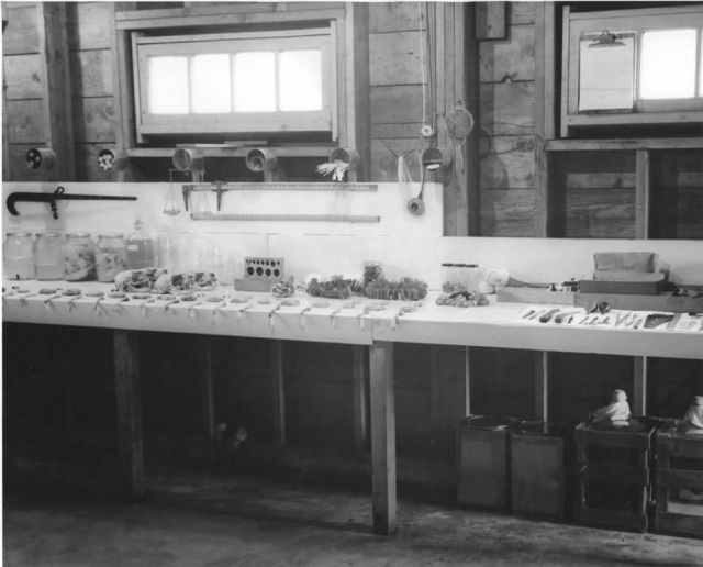 Biologist's Lab on St. Paul Island Picture
