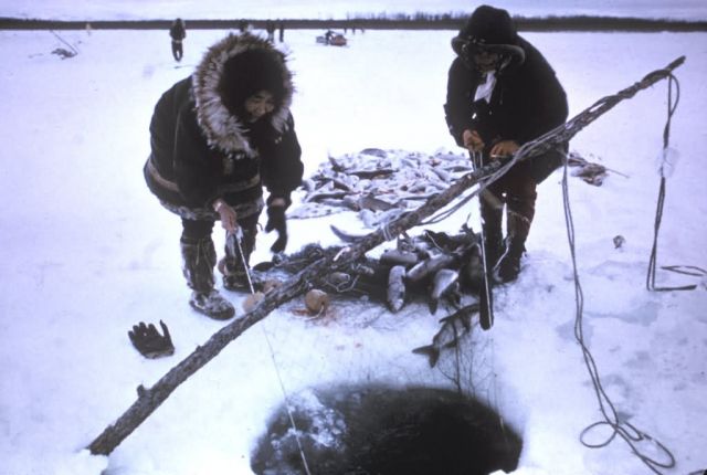 Subsistence Ice Fishing Picture