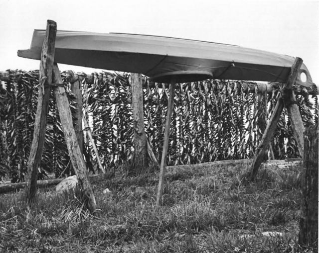 Kayak and Fish Rack in Tununak Picture