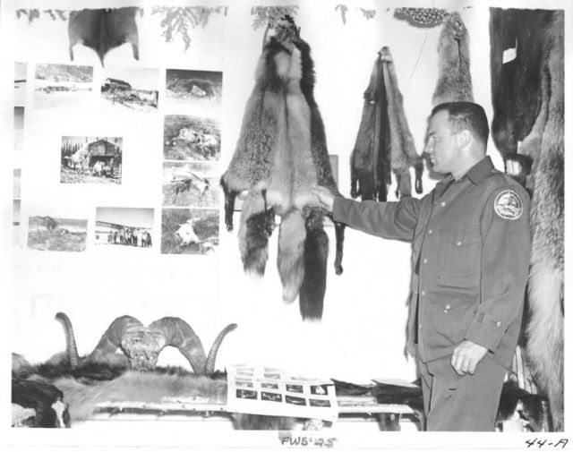 Agent Tremblay in Fairbanks Picture