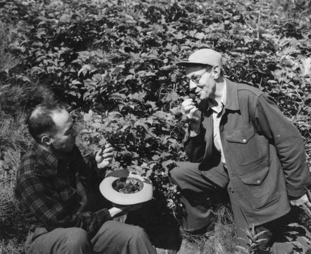 Bud Elkins and Frank Beals, Kodiak Picture