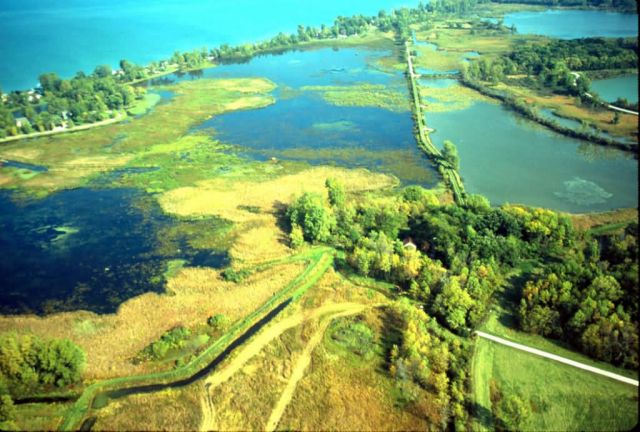 Navarre Marsh Picture