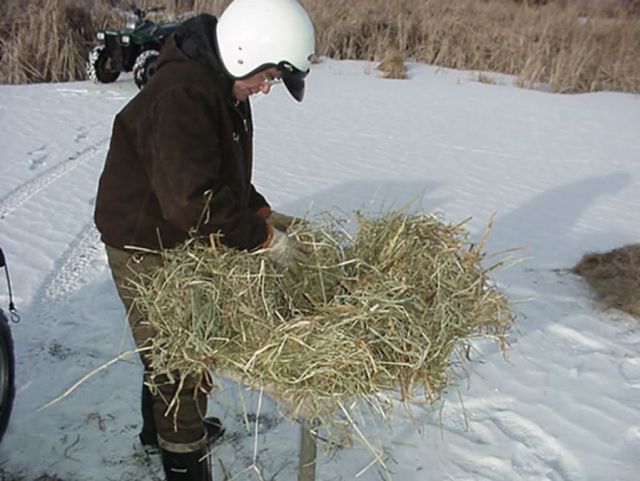 Larry Hanson Straw Baskets Picture
