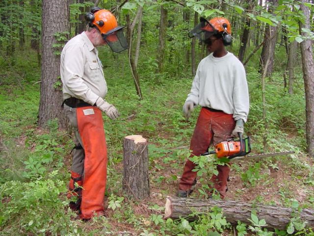 Chainsaw 2 Picture