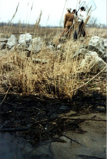 Detroit River Oil Spill Damage Picture