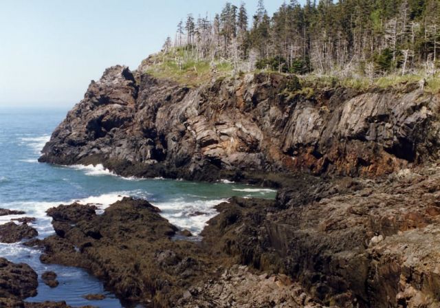 Petit Manan NWR, Cross Island Picture