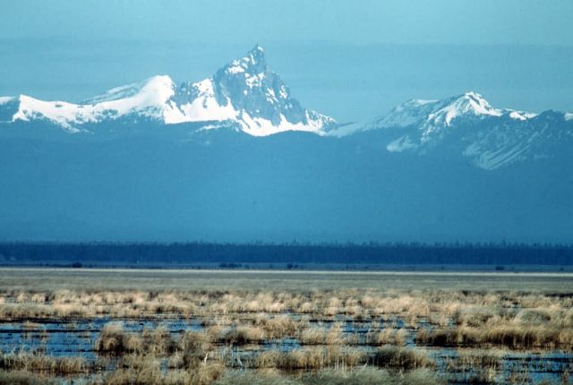Lower Klamath National Wildlife Refuge Picture