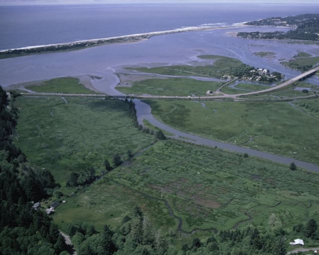 Siletz Bay National Wildlife Refuge Picture