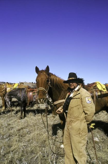 FWS Employee Moving Buffalo Picture
