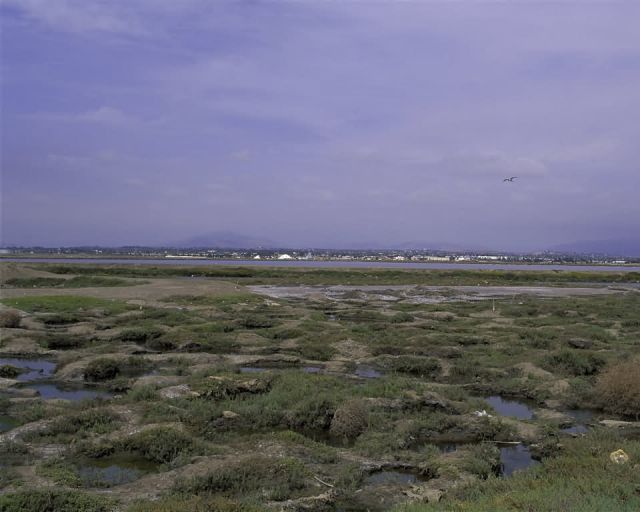 Sweetwater Marsh National Wildlife Refuge Picture