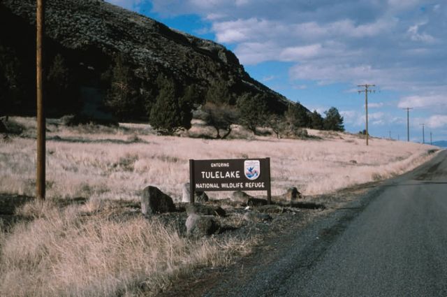 Tule Lake National Wildlife Refuge Picture