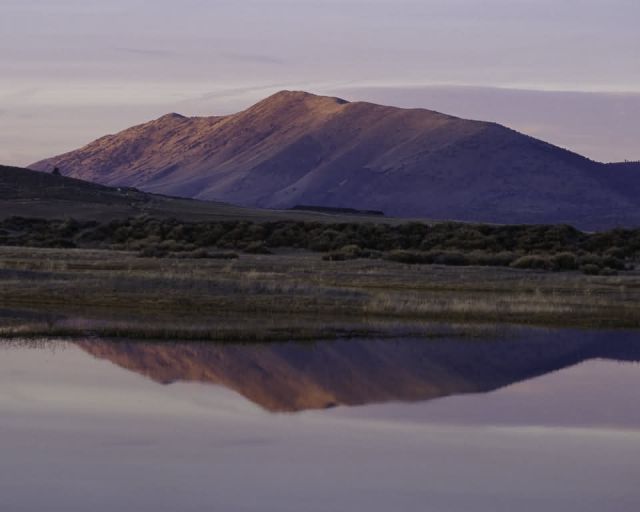 Lower Klamath NWR, California Picture