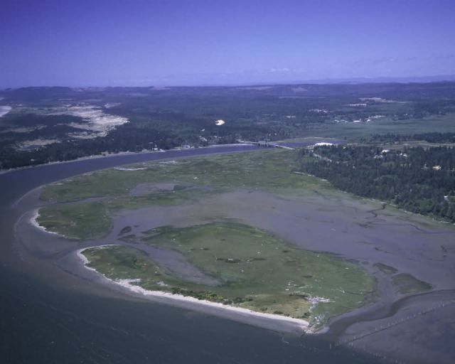 Bandon Marsh National Wildlife Refuge Picture