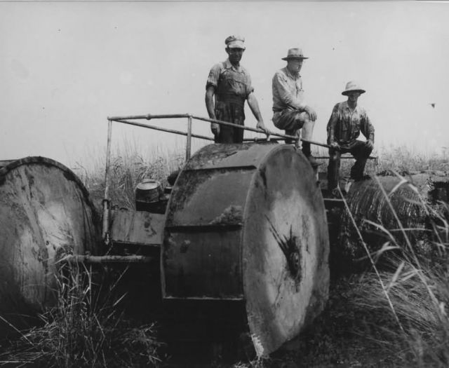 Early Marsh Transportation at Sabine NWR Picture