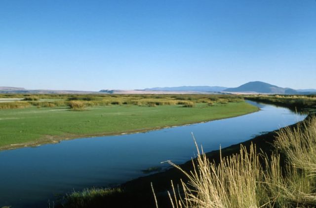 Lower Klamath National Wildlife Refuge Picture
