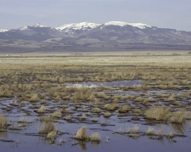 Alamosa/Monte Vista National Wildlife Refuge Picture