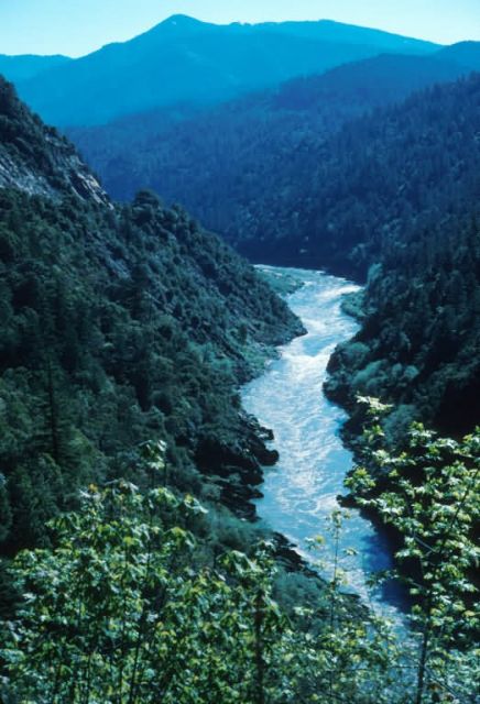 Klamath River, California Picture