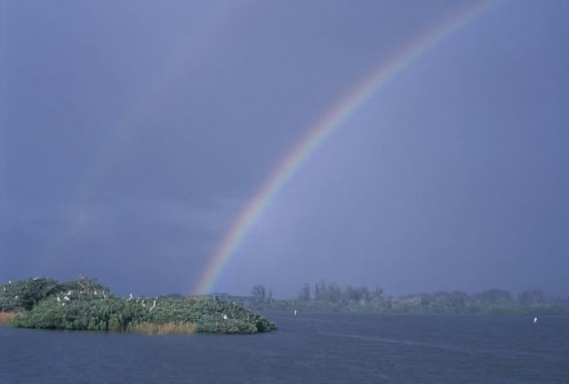 Rainbow over Pelican Island NWR Picture