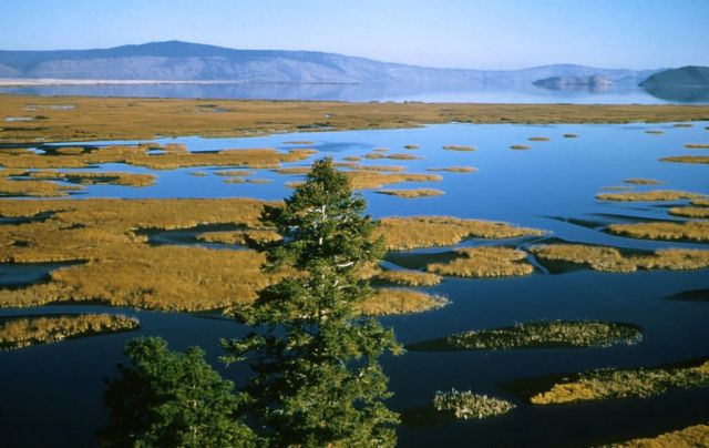 Upper Klamath National Wildlife Refuge Picture
