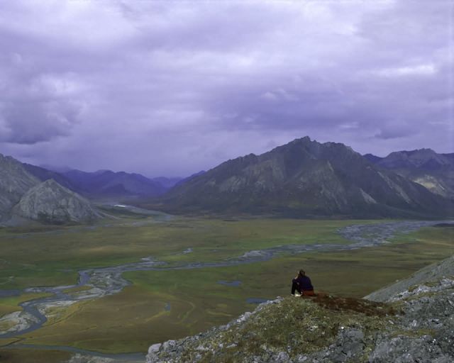 Arctic National Wildlife Refuge, Alaska Picture