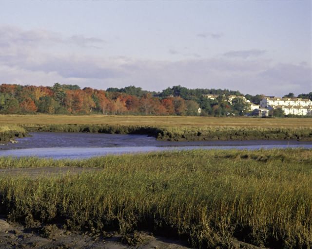 Rachel Carson National Wildlife Refuge, Maine Picture