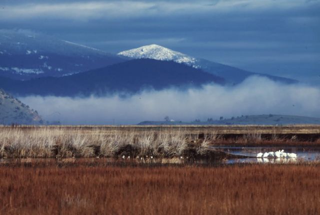 Lower Klamath National Wildlife Refuge Picture