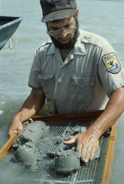 FWS Biologist Sifting Sediments For Contaminant Analysis Picture