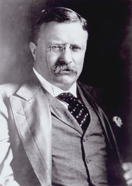President Theodore Roosevelt Picture