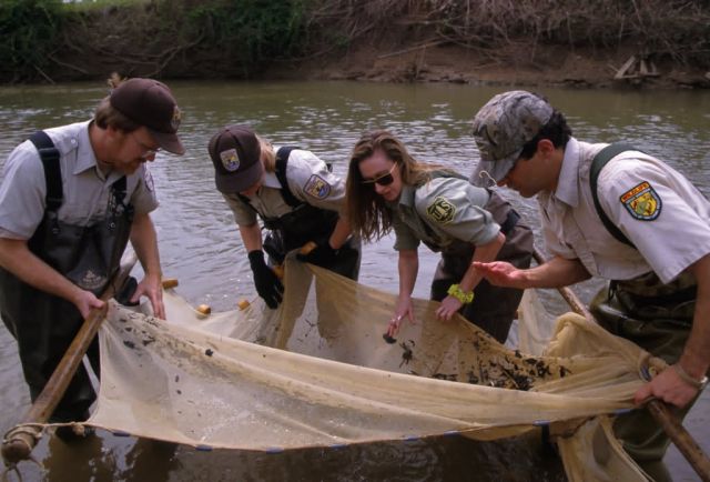 Seining in a Stream with Partners Picture