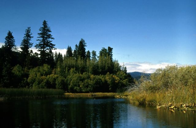 Upper Klamath National Wildlife Refuge Picture