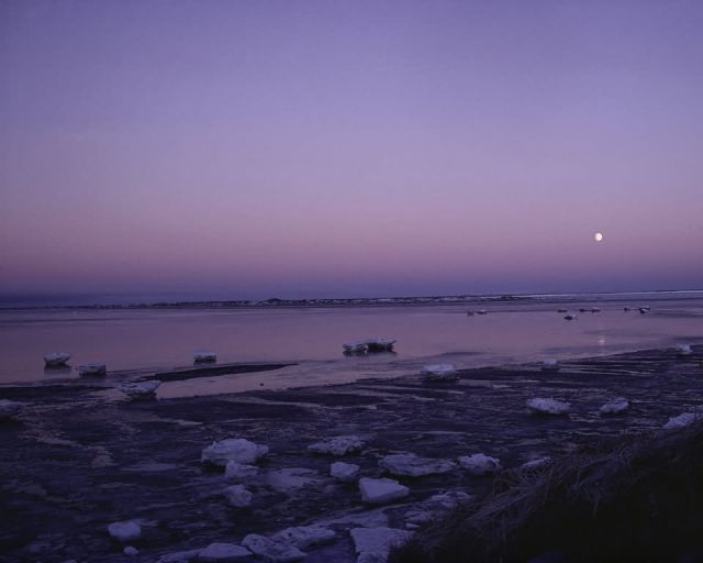 Yukon Delta National Wildlife Refuge, Alaska Picture
