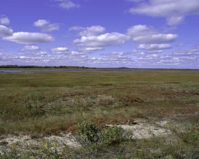 Parker River National Wildlife Refuge Picture
