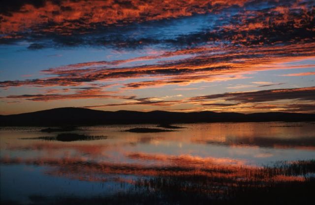 Lower Klamath National Wildlife Refuge Picture