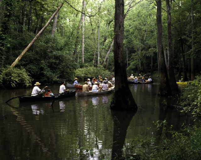 Canoeing at Bond Swamp NWR Picture