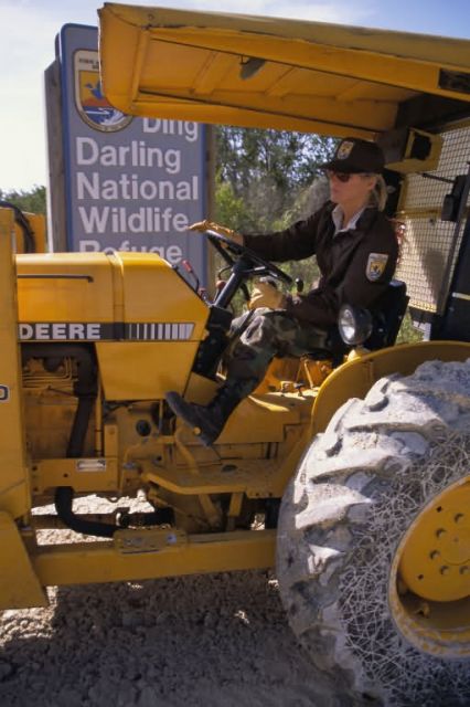 FWS Employee Operates Tractor at Ding Darling NWR Picture