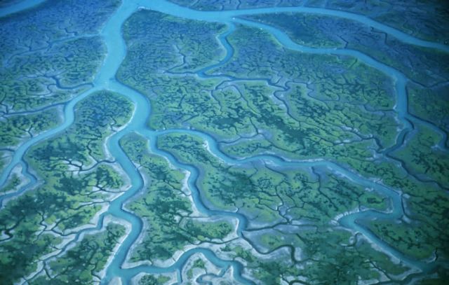 Humboldt Bay National Wildlife Refuge Picture