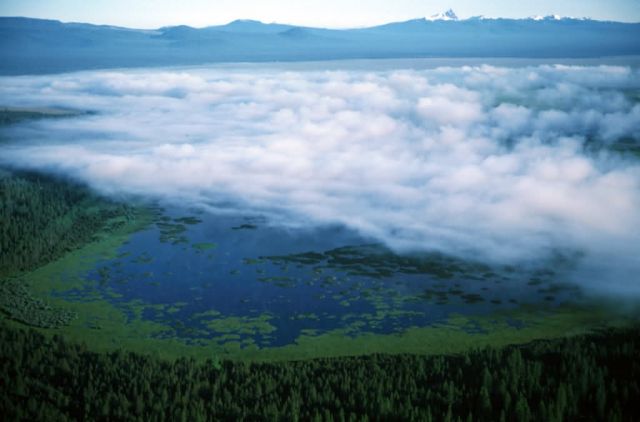 Lower Klamath National Wildlife Refuge Picture