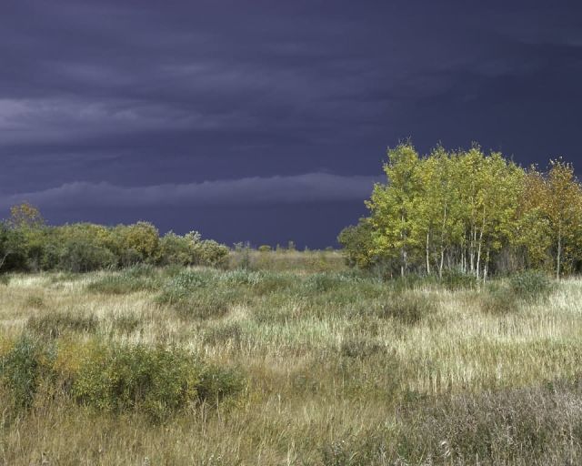 Agassiz National Wildlife Refuge Picture