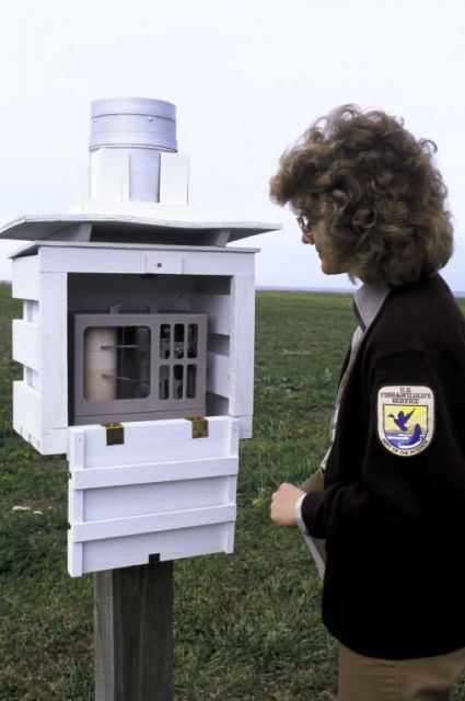 FWS Employee Checking Weather Station Picture