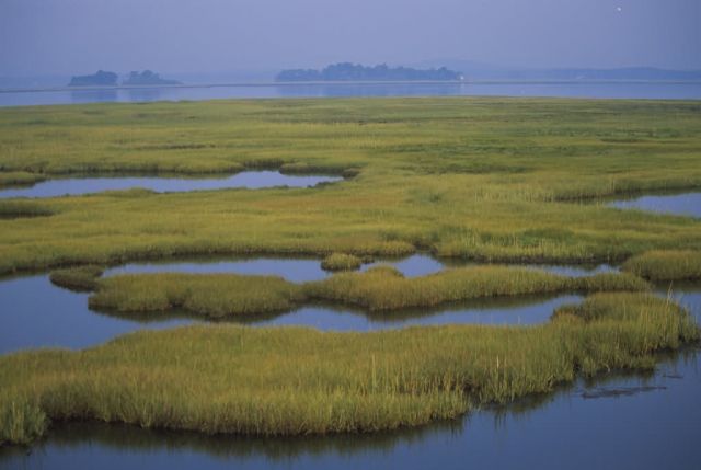 Parker River National Wildlife Refuge Picture