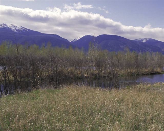 Lee Metcalf National Wildlife Refuge, Montana Picture