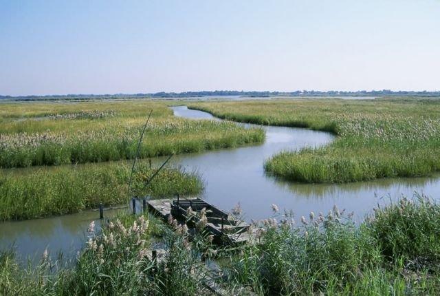 Supawna Meadows National Wildlife Refuge Picture